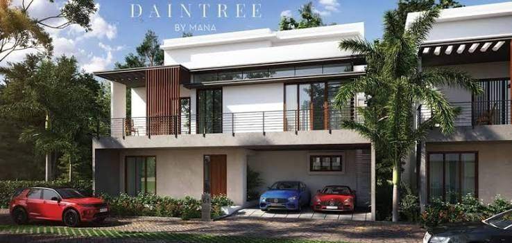Daintree by MANA – photo 2