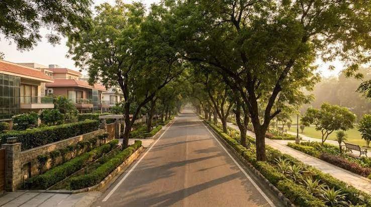 Leafy Avenue – photo 3