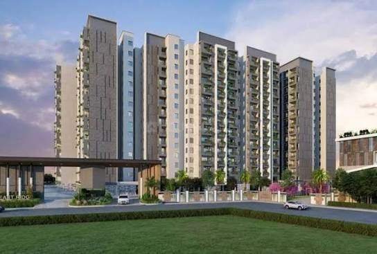 Meda East Winds – photo 2