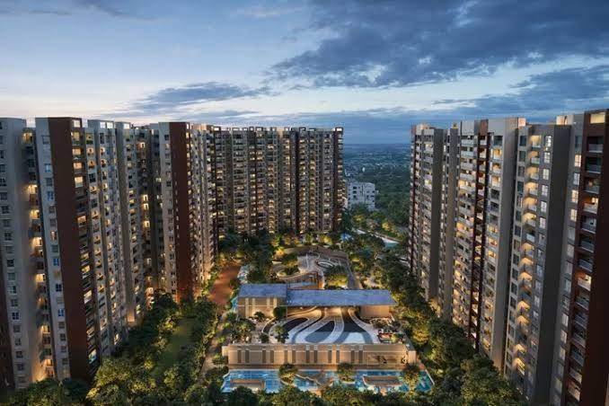 Prestige Evergreen – photo 3