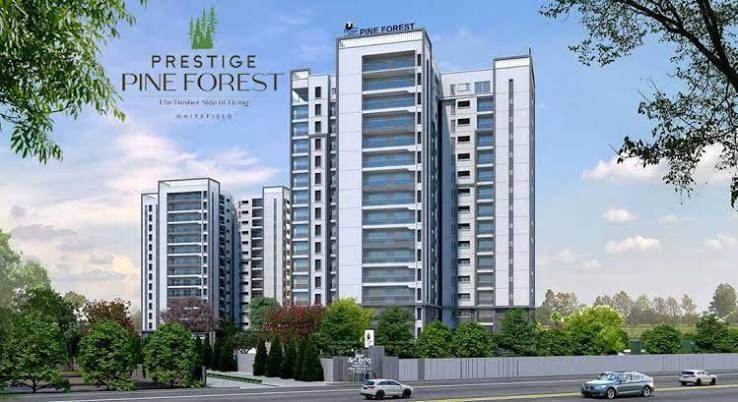 Prestige Pine Forest – photo 2