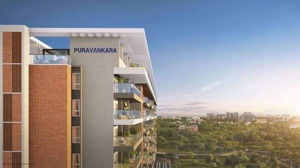 Purva Meraki – photo 3