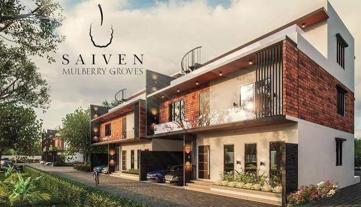 Saiven Mulberry Groves – photo 1