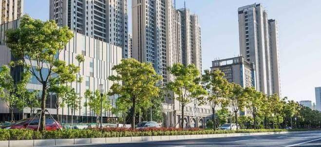 Sobha Altair – photo 3